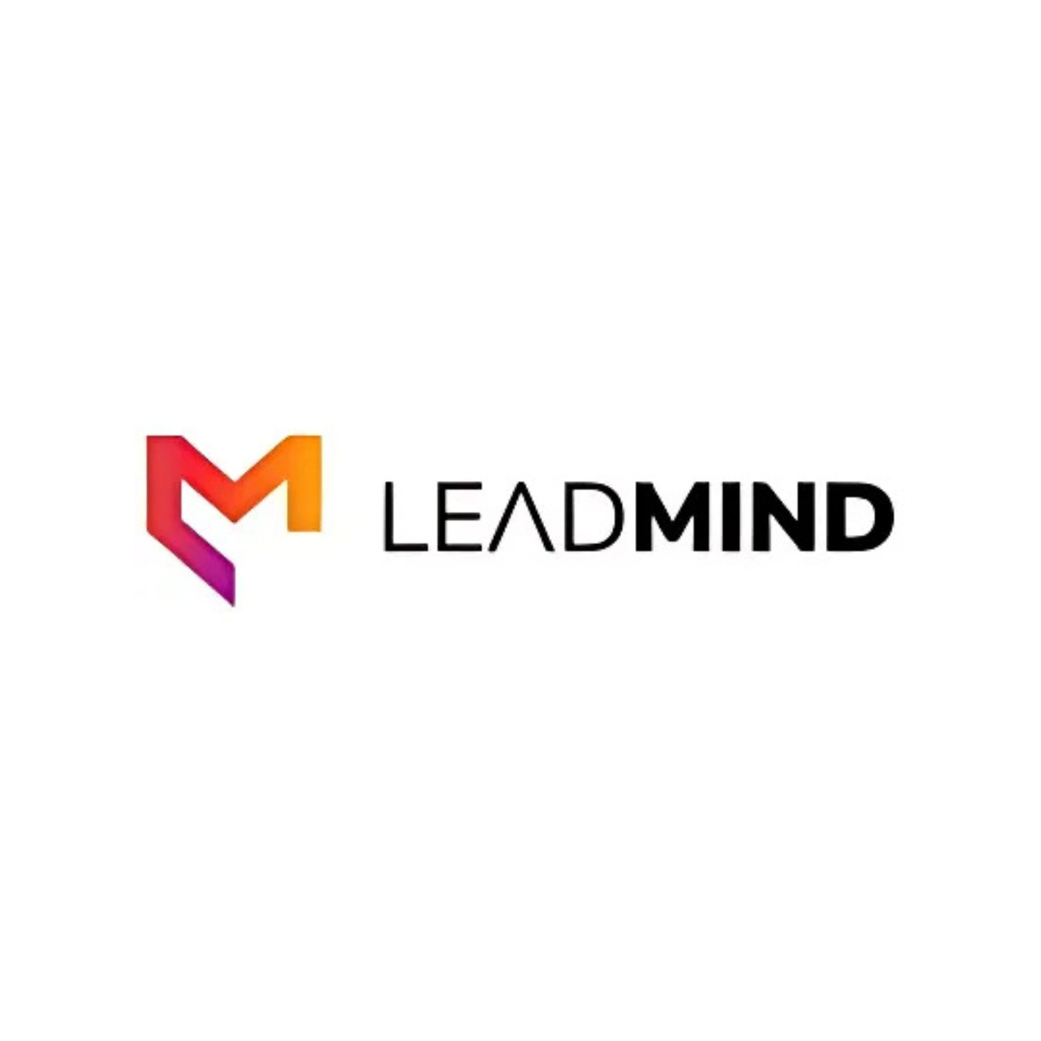 LeadMind Logo